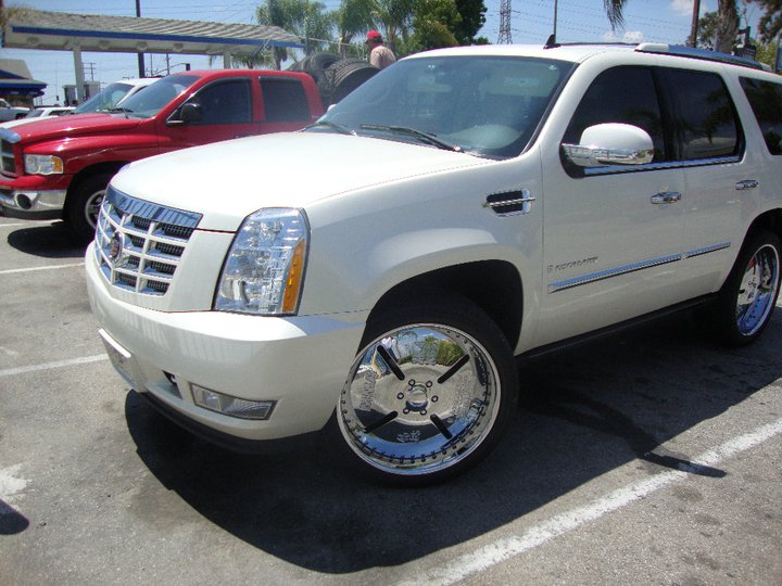 148164_447385627211_1149074_n